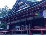 honeyteaさんの比叡山・奥比叡ドライブウェイの紅葉の投稿写真1