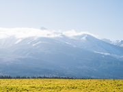 まっちゃんさんのびえい白金温泉の投稿写真1