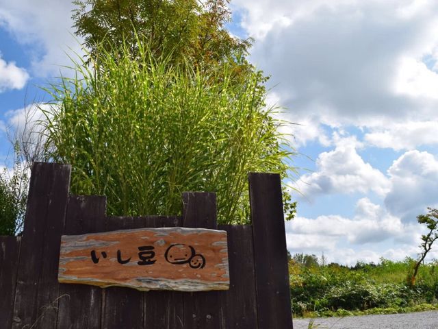 いし豆さん_いし豆
