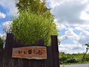 Yasuさんのいし豆の投稿写真2