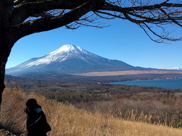 富士山を中心に大パノラマが広がる。_山中湖明神山パノラマ台