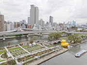 glyさんの中之島公園の投稿写真1