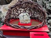 LilyさんのASMUI Spiritual Hikesの投稿写真1