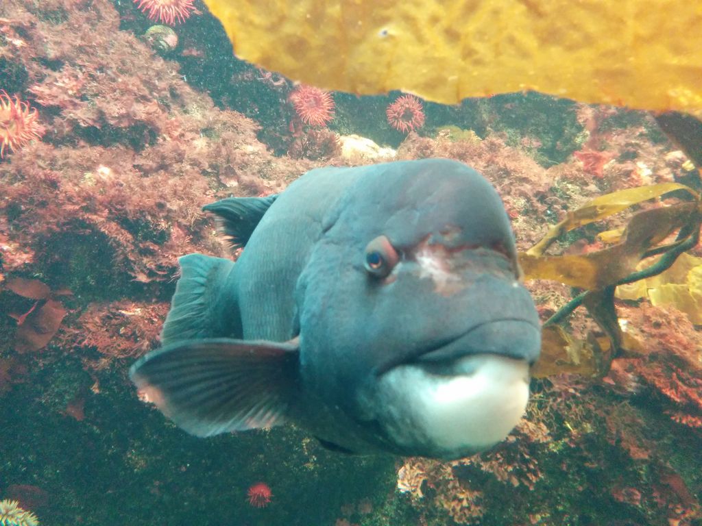 東京都葛西臨海水族園