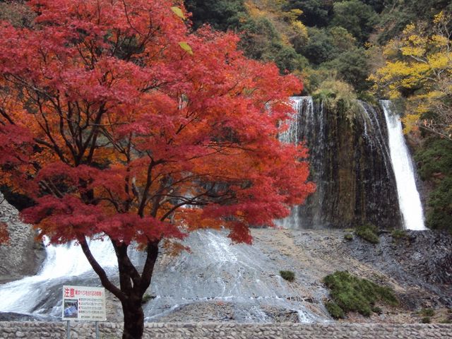 紅葉と滝_龍門の滝(大分県九重町)