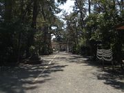 ふわりんさんの浜松八幡宮の投稿写真1