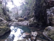 やんまあさんの天岩戸神社の投稿写真1