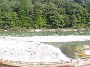 ふみちゃんさんの付知川の投稿写真1