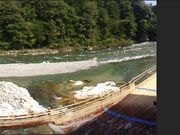 ふみちゃんさんの付知川の投稿写真2