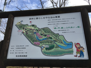 まちゃさんの石倉山公園の投稿写真1