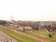 ponkanさんの都立狭山公園の投稿写真1