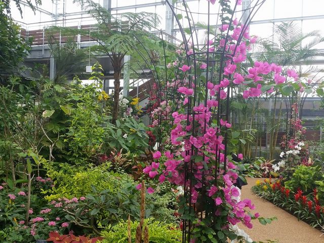 青島亜熱帯植物園