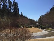 Kikoさんの小泉潟公園の投稿写真3