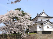 halさんの新発田城の投稿写真2