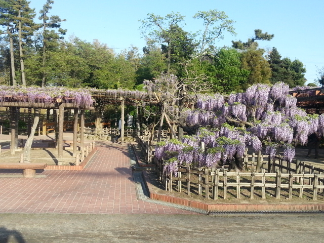 津島神社