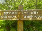 サブさんの蓮華寺の投稿写真2