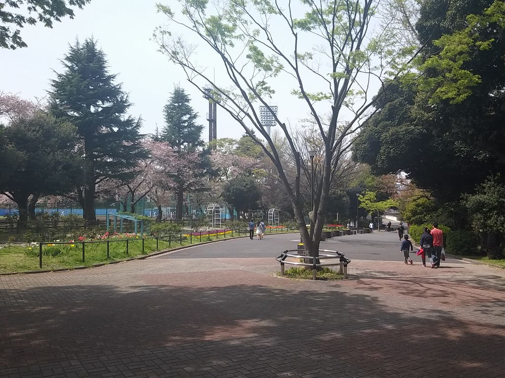 三ツ沢公園