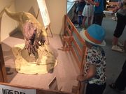 みんさぽんさんの旭川市科学館サイパルの投稿写真1