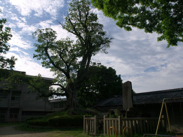高田城址_高田城址