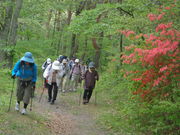 米ちゃんさんの鳥居峠(長野県上田市)の投稿写真1