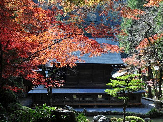 zunzuさんの内津の紅葉の投稿写真5