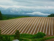 マックさんのパッチワークの路の投稿写真4