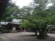 小春日和さんの大麻比古神社の投稿写真1