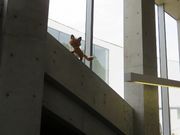 てつきちさんの新美南吉記念館の投稿写真1