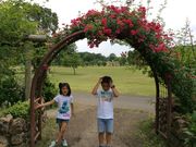 nekoたまさんのとちぎわんぱく公園の投稿写真2