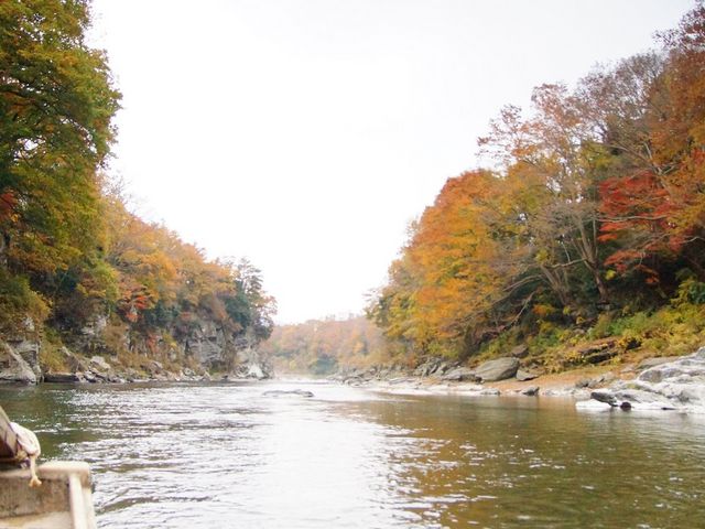 紅葉が見られます。_長瀞川くだり