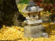 zunzuさんの古虎渓の投稿写真16