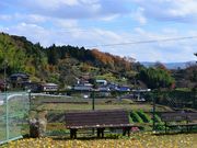 zunzuさんの古虎渓の投稿写真17