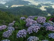 W双子のママさんの大聖寺の投稿写真1