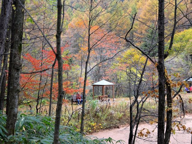 2012.11.1_富士見台高原ヘブンスそのはら(紅葉)