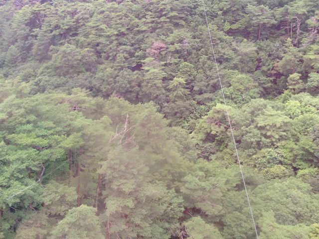 山360°_鼓ケ滝公園