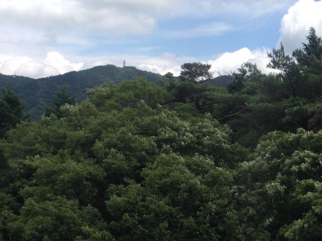 ロープウェイから_鼓ケ滝公園