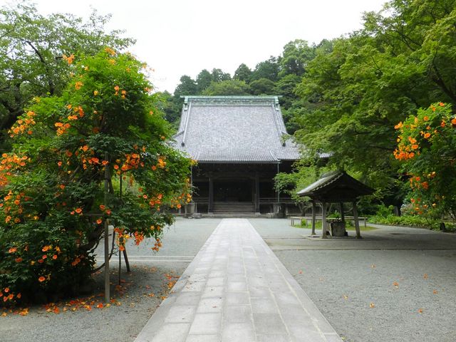 妙本寺(神奈川県鎌倉市)