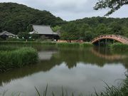 けっぱれさんの金沢山称名寺の投稿写真3