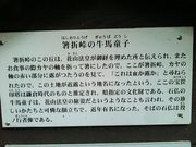 kazuさんの道の駅 熊野古道中辺路の投稿写真1