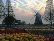 虚空蔵さんのあけぼの山農業公園の投稿写真1