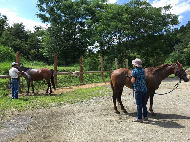 素敵なご夫婦で経営されていました!_TANIMOTO HORSE RANCH