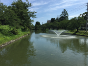 まちゃさんの最上公園の投稿写真1