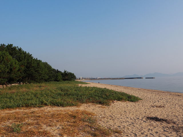 志島ヶ原_志島ヶ原