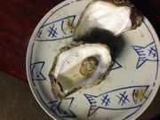 ぴちゅうさんのにかほ市金浦物産センターの投稿写真1