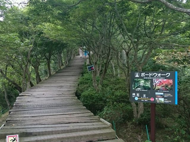 ボードウォークの道_伊豆パノラマパーク