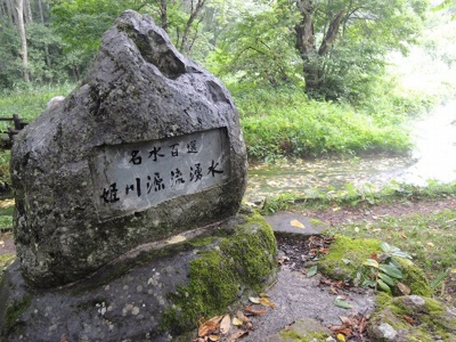 姫川源流_姫川源流自然探勝園 (姫川源流・親海湿原)