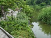 雷ちゃんさんの姫沼の投稿写真1