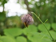 雷ちゃんさんの姫沼の投稿写真7