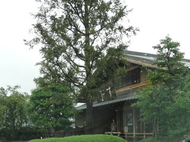 栗の木を使った建物です_すや 西木