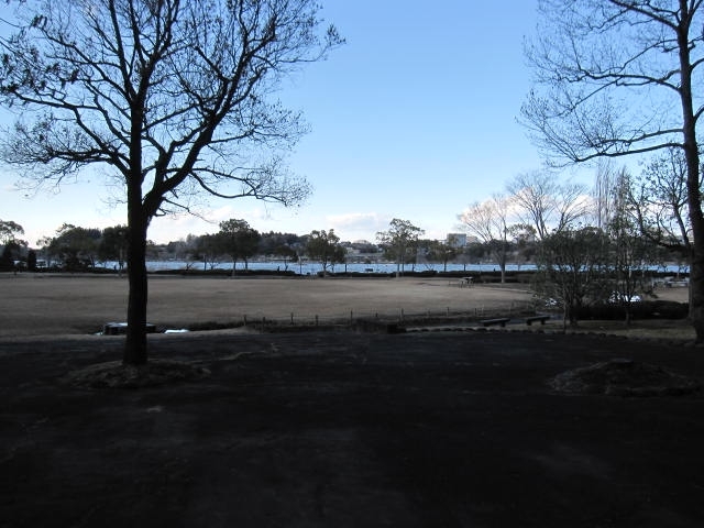 湖の周りにひろがっています_千波公園
